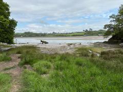 Looking across the River Torridge towards the village of Westleigh